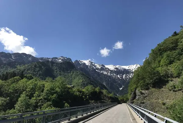 中尾高原の写真・動画_image_200623