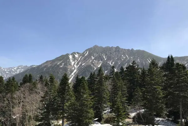 新穂高ロープウェイの写真・動画_image_200733