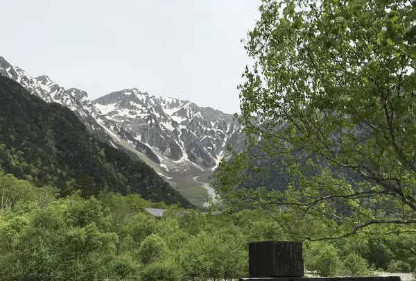 上高地アルペンホテルの写真・動画_image_200767