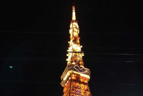 月下の写真・動画_image_201104