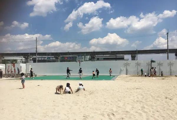 タチヒビーチの写真・動画_image_201229