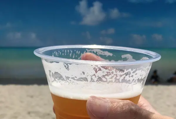 タチヒビーチの写真・動画_image_201233