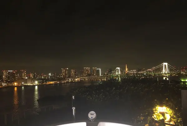 ヒルトン東京お台場の写真・動画_image_201514