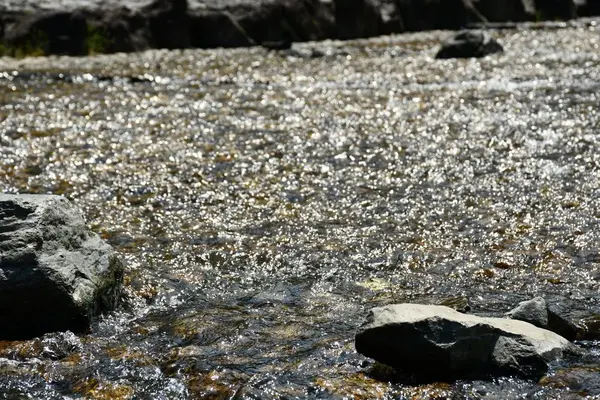 大津谷公園キャンプ場の写真・動画_image_201667