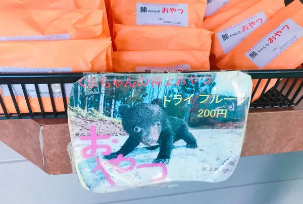 奥飛騨クマ牧場の写真・動画_image_201820