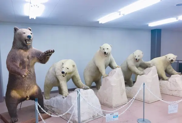 奥飛騨クマ牧場の写真・動画_image_201821