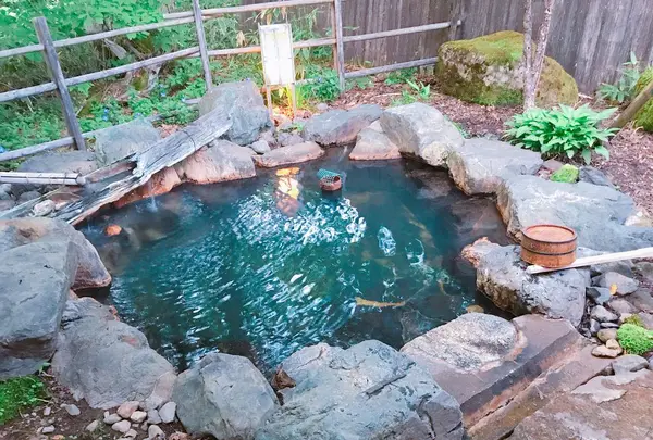 匠の宿 深山桜庵の写真・動画_image_201830