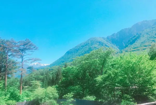 匠の宿 深山桜庵の写真・動画_image_201831