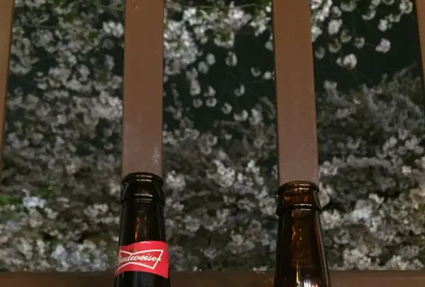 目黒川の桜並木の写真・動画_image_202048