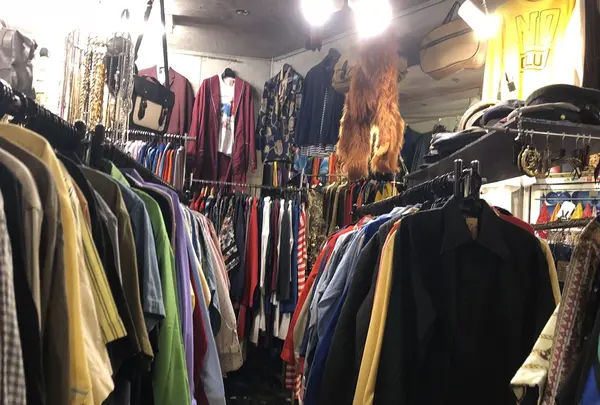 APOLLOの写真・動画_image_202108