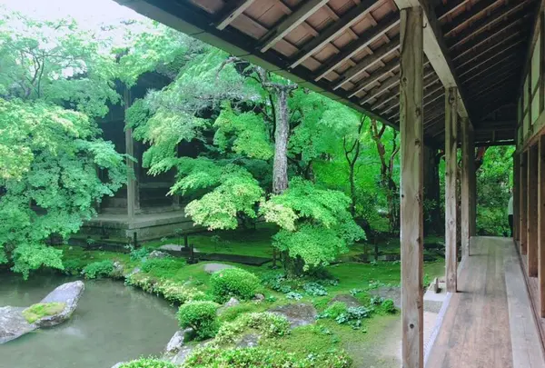 蓮華寺の写真・動画_image_202127