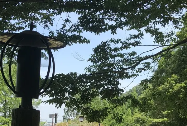 トーベ・ヤンソンあけぼの子どもの森公園の写真・動画_image_202190