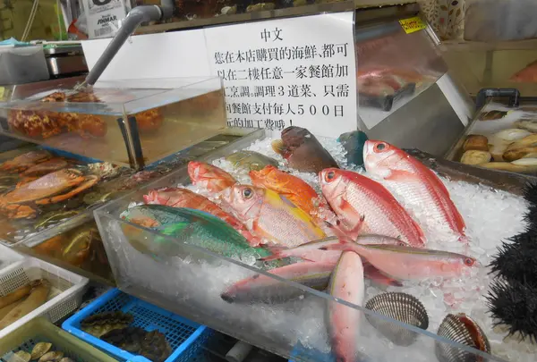 国際通りの写真・動画_image_202196