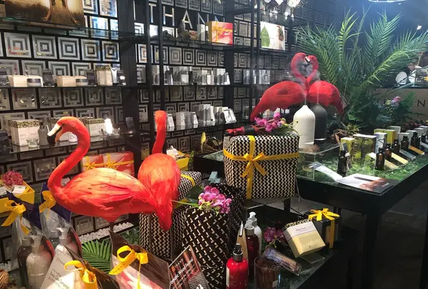 THANNの写真・動画_image_202324