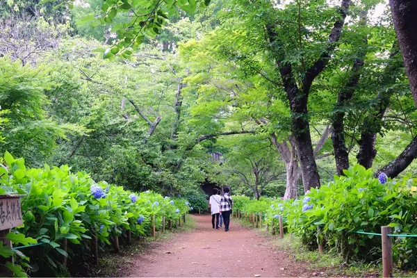 東勝寺宗吾霊堂の写真・動画_image_202400