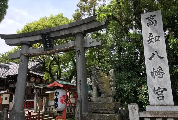 高知八幡宮の写真・動画_image_202407