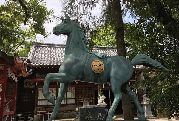 高知八幡宮の写真・動画_image_202408