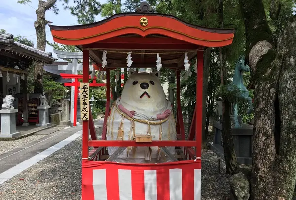 高知八幡宮の写真・動画_image_202409