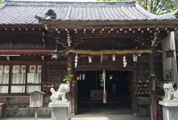 高知八幡宮の写真・動画_image_202410