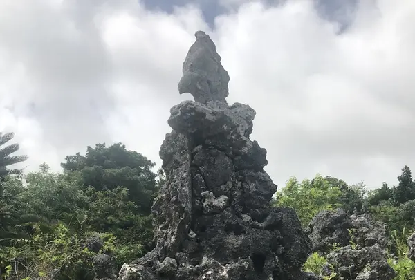 石庭の写真・動画_image_202509