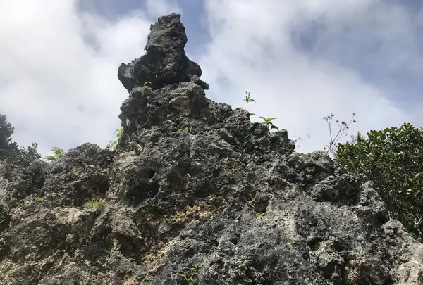 石庭の写真・動画_image_202510