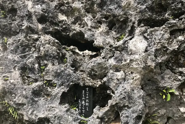 石庭の写真・動画_image_202511