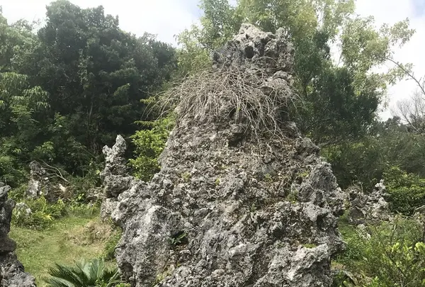 石庭の写真・動画_image_202512