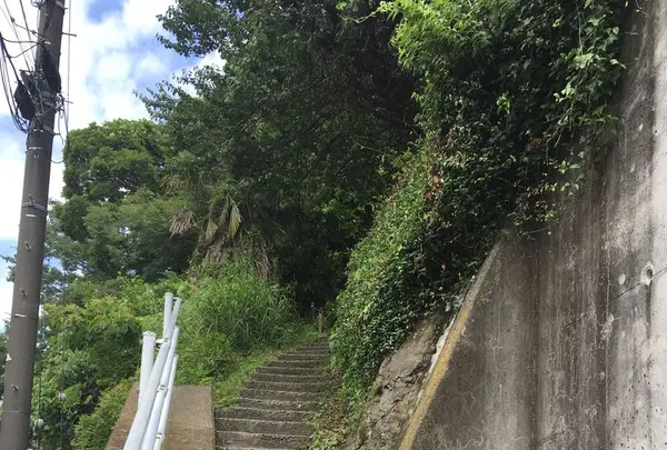 山の上ベーカリーの写真・動画_image_202555