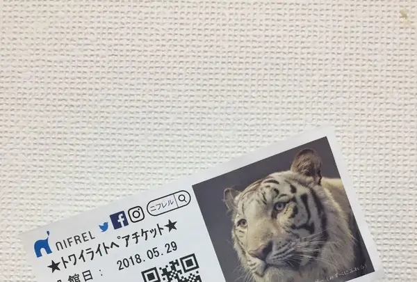 NIFREL（ニフレル）の写真・動画_image_202587