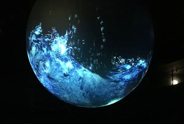 NIFREL（ニフレル）の写真・動画_image_202595