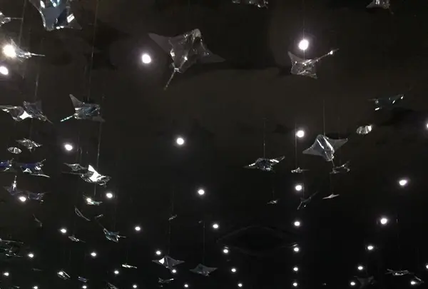 NIFREL（ニフレル）の写真・動画_image_202601