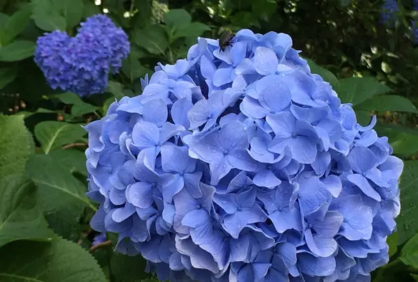 六條八幡宮の写真・動画_image_202603