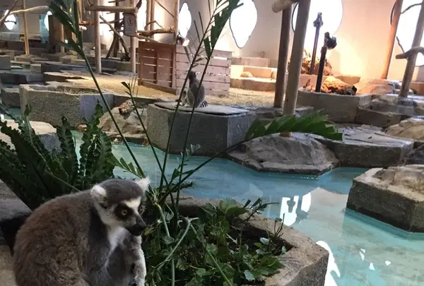 NIFREL（ニフレル）の写真・動画_image_202608