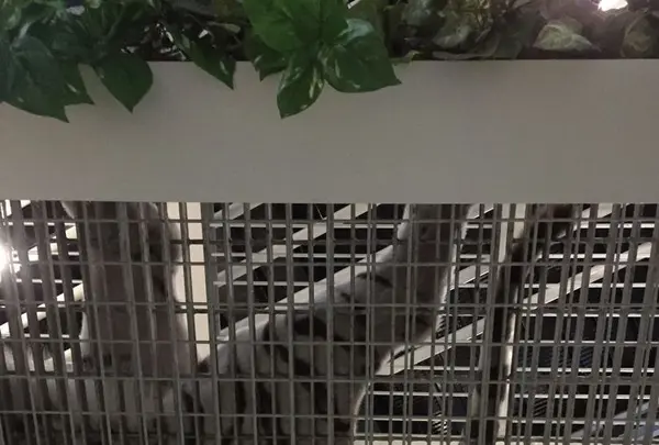 NIFREL（ニフレル）の写真・動画_image_202619