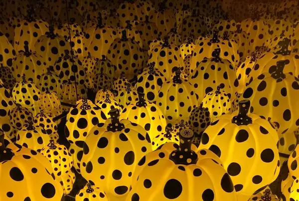 草間彌生美術館の写真・動画_image_202622