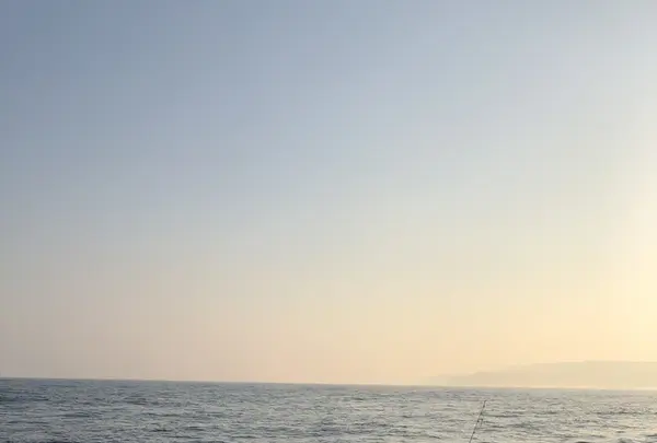 With‐Oceanの写真・動画_image_202712
