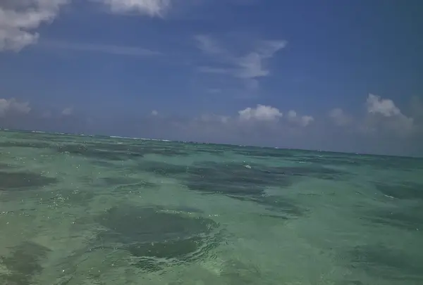 新城海岸の写真・動画_image_202715