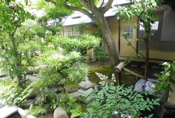 興臨院の写真・動画_image_202748