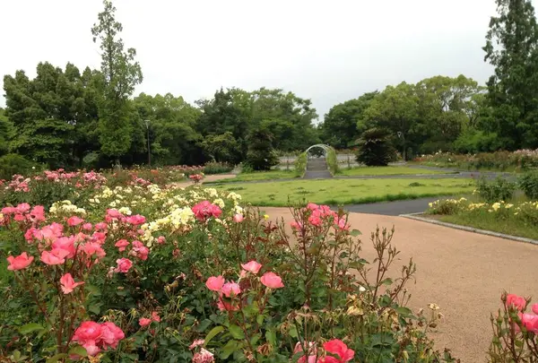 春日池公園の写真・動画_image_202756