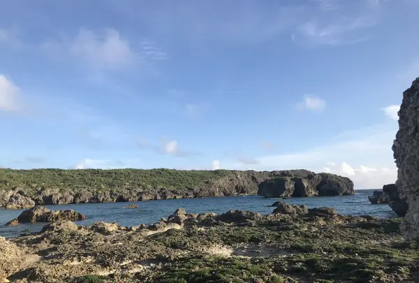 中の島ビーチの写真・動画_image_202758