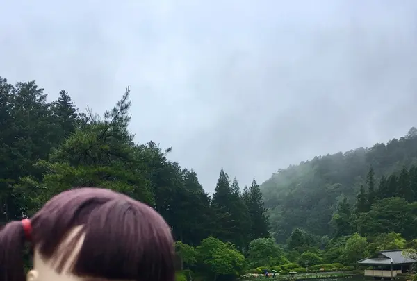 古峯神社の写真・動画_image_202771