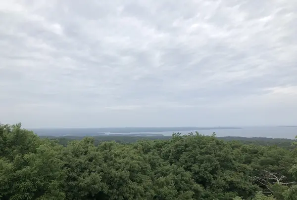 別所岳SAの写真・動画_image_202909