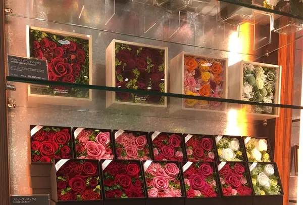 Millefiori 表参道ヒルズ店の写真・動画_image_202918