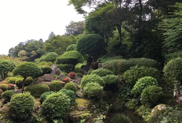 佐川町立青山文庫の写真・動画_image_202971