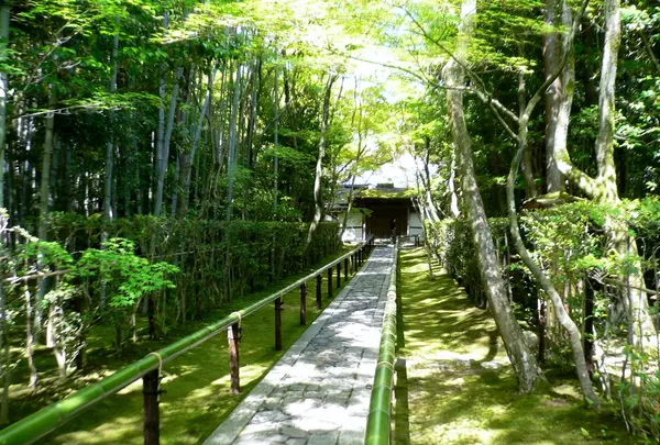 高桐院の写真・動画_image_203059