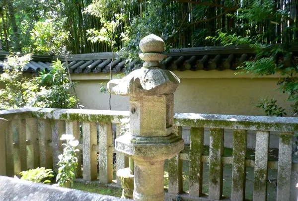 高桐院の写真・動画_image_203060