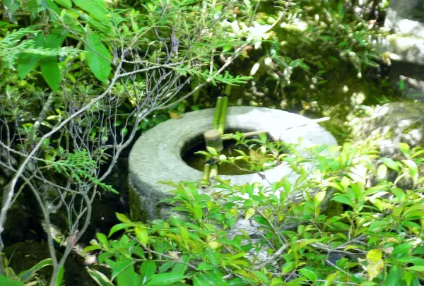 高桐院の写真・動画_image_203061