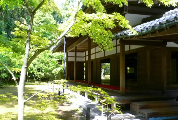 高桐院の写真・動画_image_203062