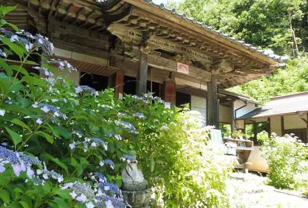 三光寺の写真・動画_image_203262