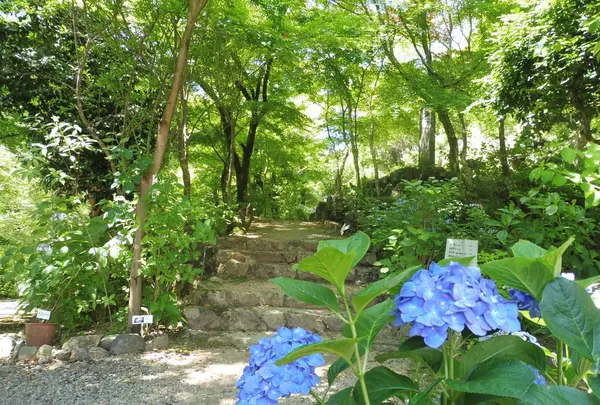 三光寺の写真・動画_image_203266